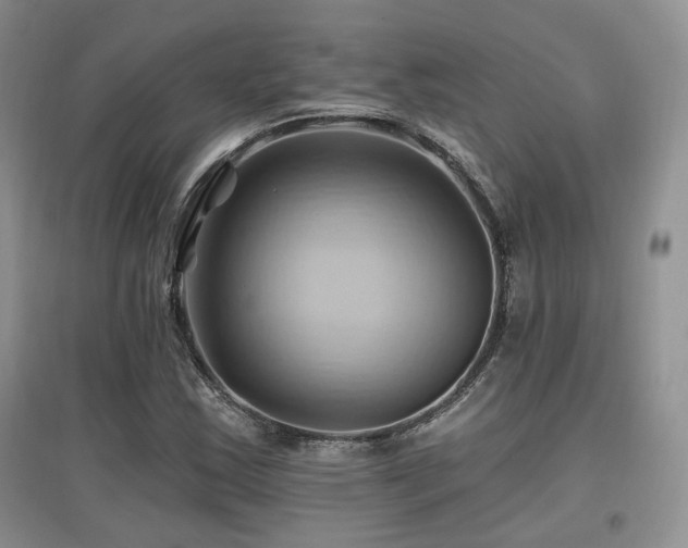 X0000097831163200803141139