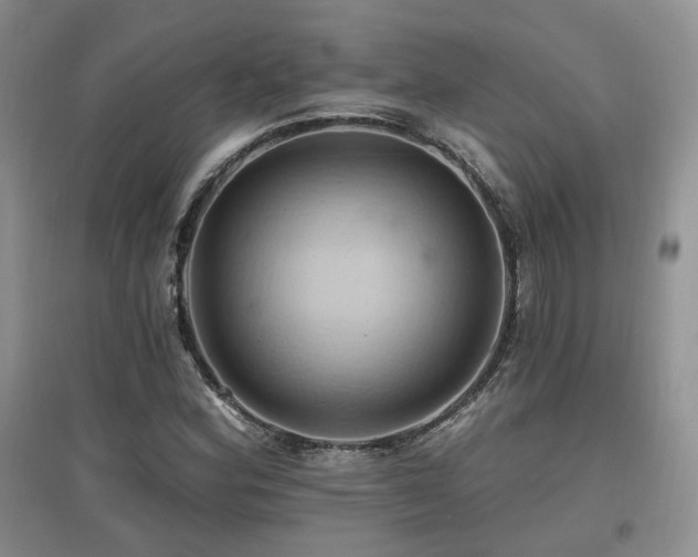 X0000097831164200803141139