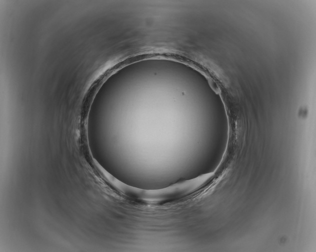 X0000097831165200803141139