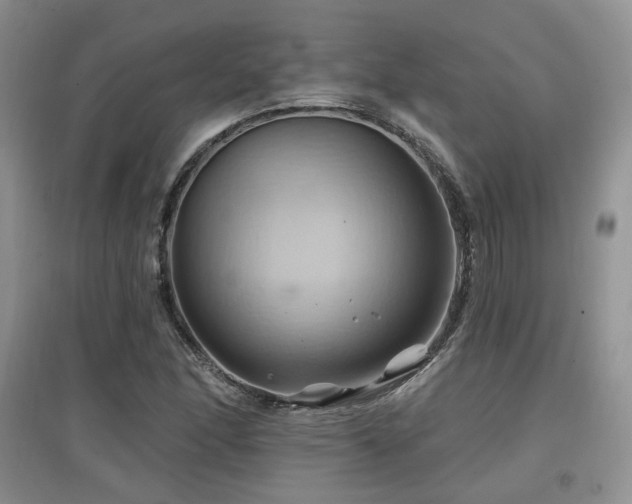 X0000097831166200803141139