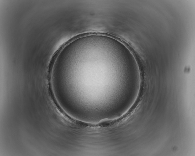 X0000097831168200803141139