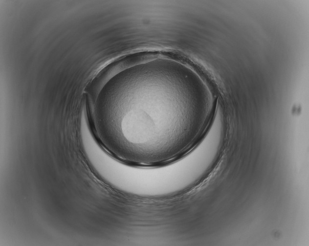 X0000097831169200803141139