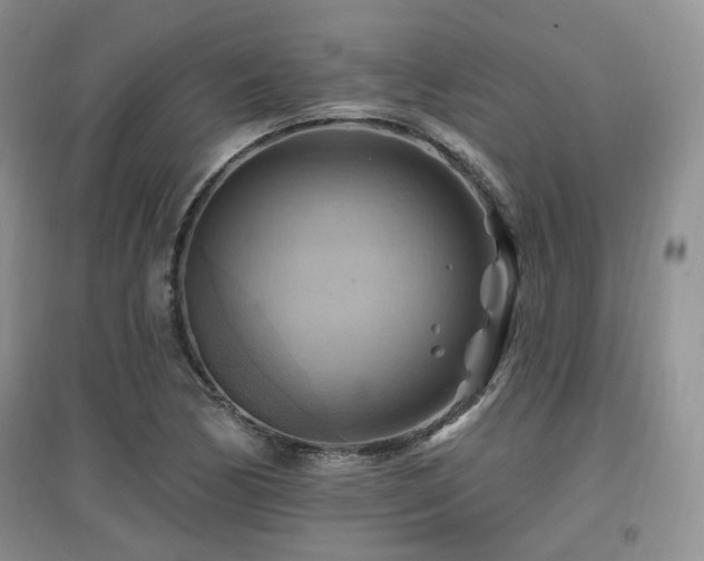 X0000097831170200803141139