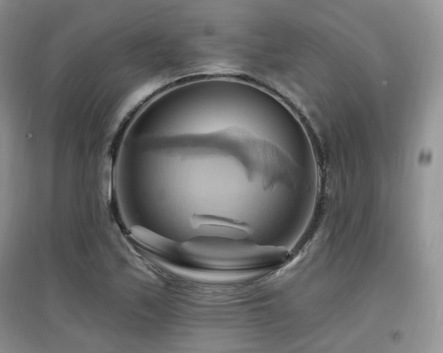 X0000097831171200803141139