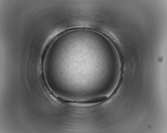 X0000097831172200803141138