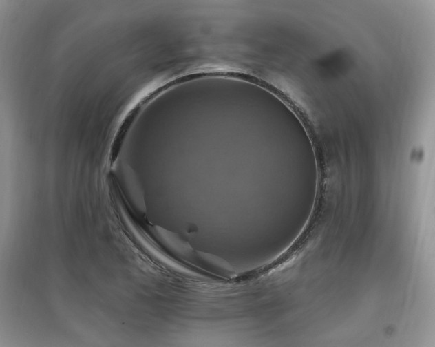 X0000097831173200803141138