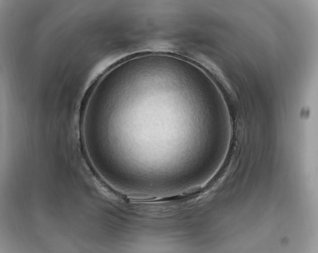 X0000097831176200803141138