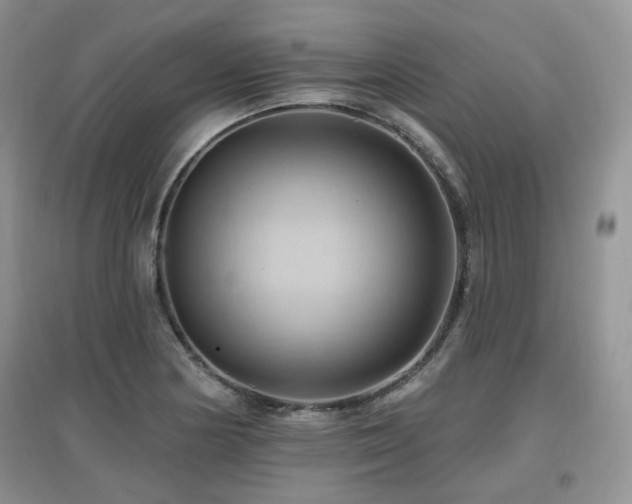 X0000097831178200803141138