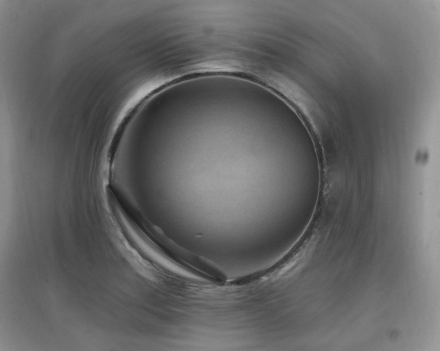 X0000097831179200803141138
