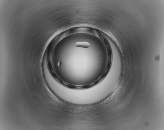 X0000097831181200803141138