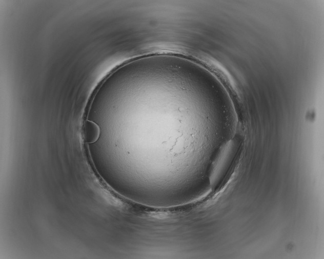 X0000097831182200803141138