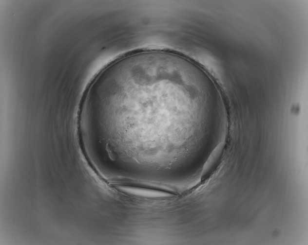 X0000097831183200803141138
