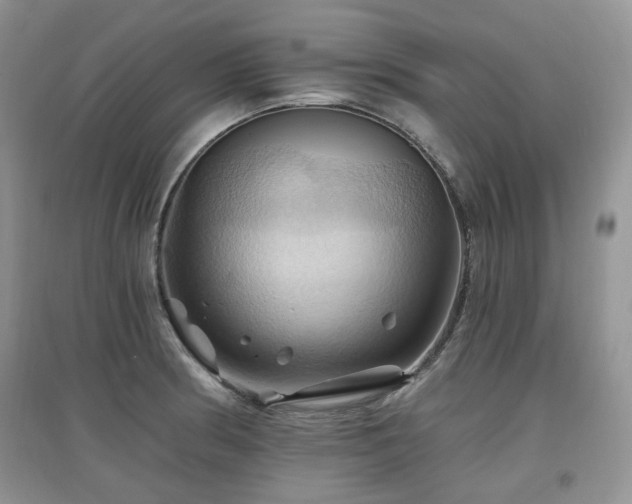 X0000097831186200803141138
