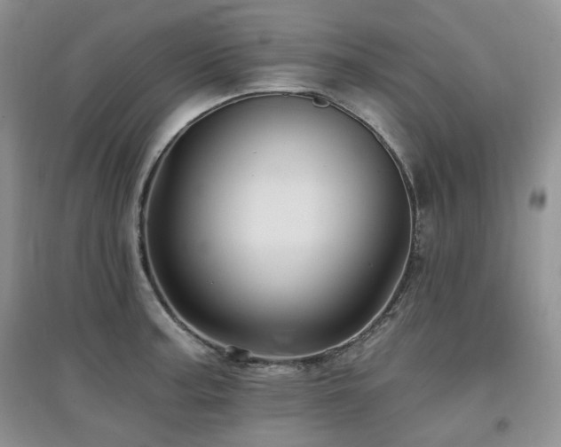 X0000097831187200803141138