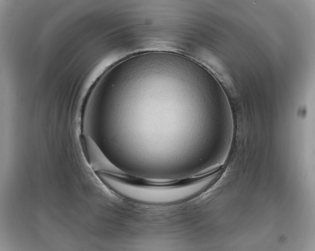 X0000097831188200803141138