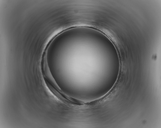 X0000097831189200803141138