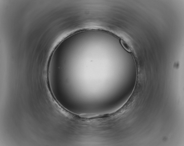 X0000097831191200803141138