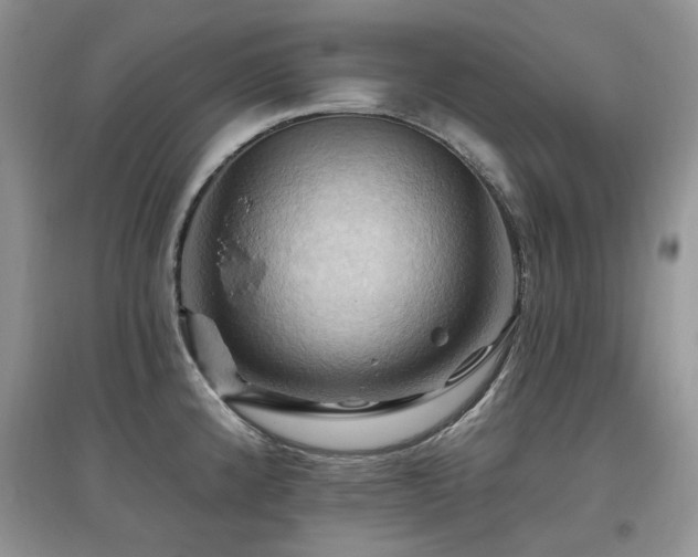 X0000097831192200803141138