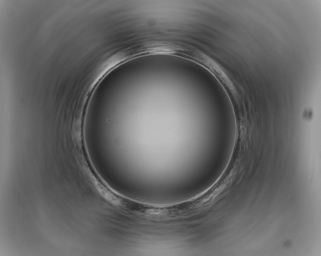 X0000097831194200803141138