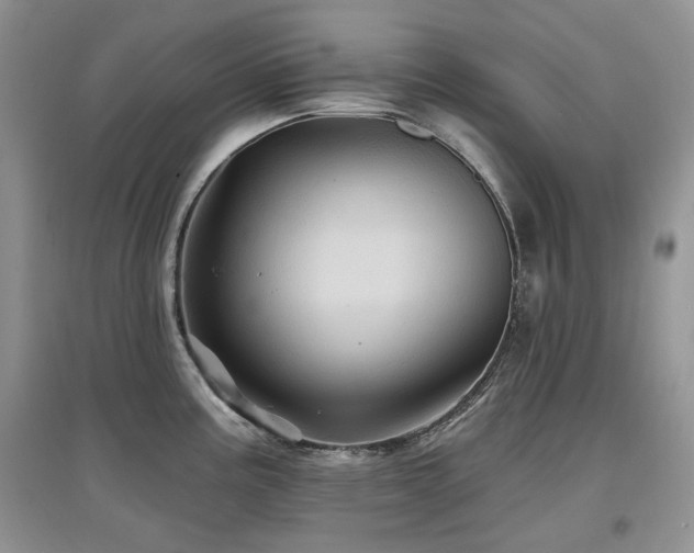 X0000097831195200803141138