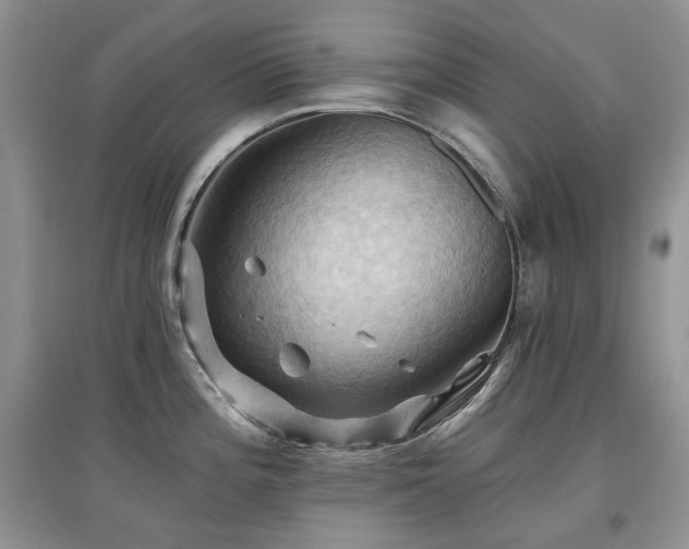 X0000097831196200803141138
