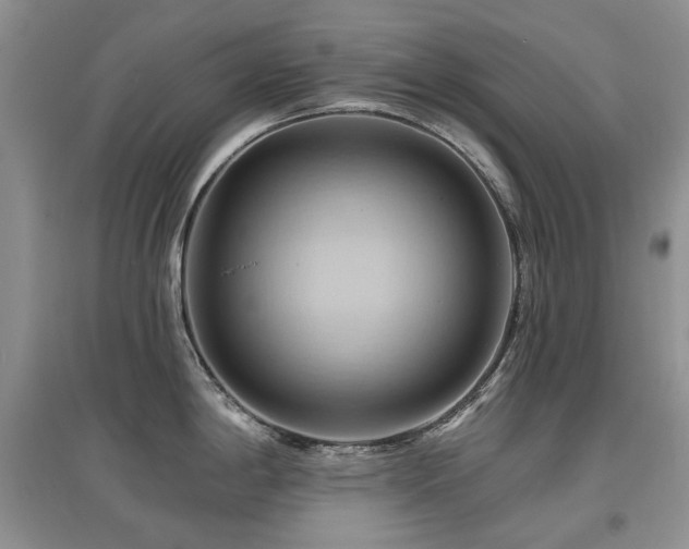 X0000097831198200803141138