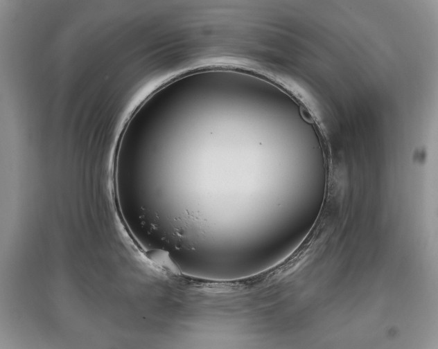X0000097831199200803141138