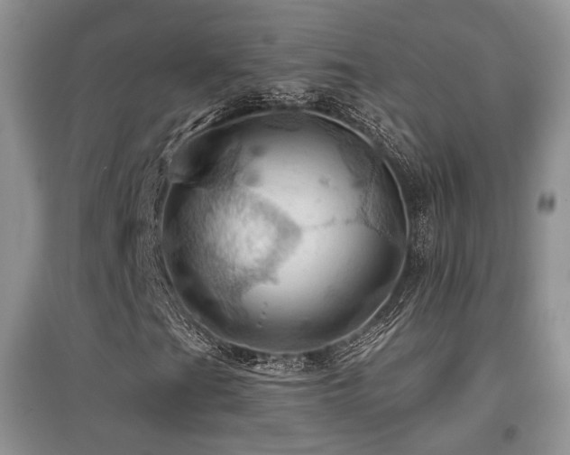 X0000097831201200803141137