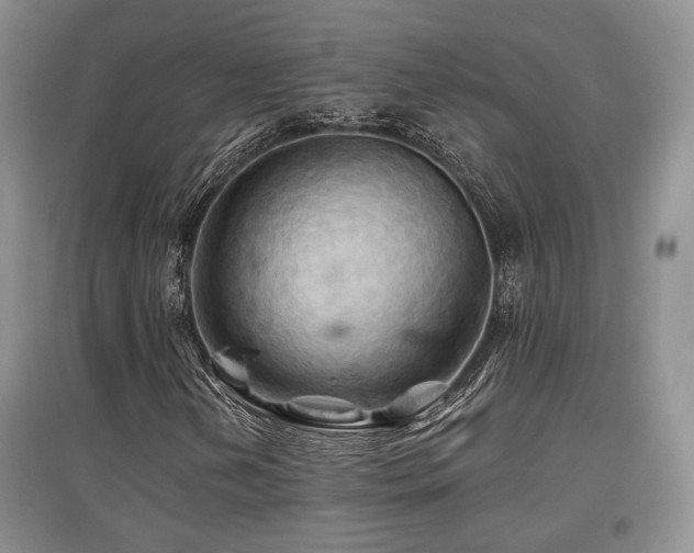 X0000097831202200803141137