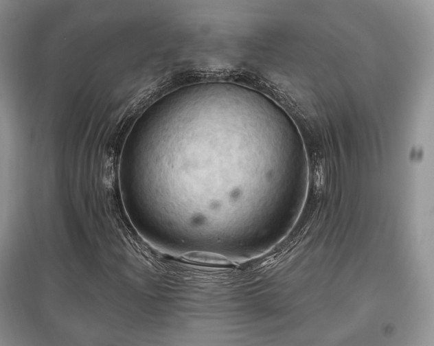 X0000097831204200803141137