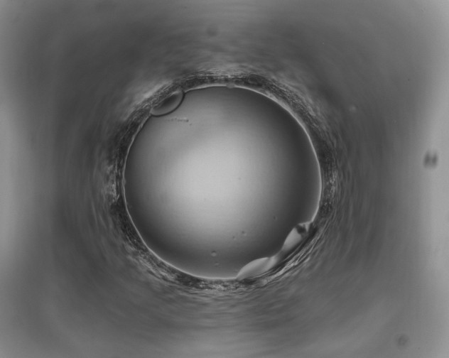 X0000097831205200803141137