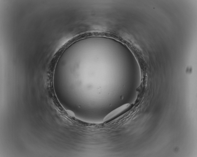 X0000097831208200803141137