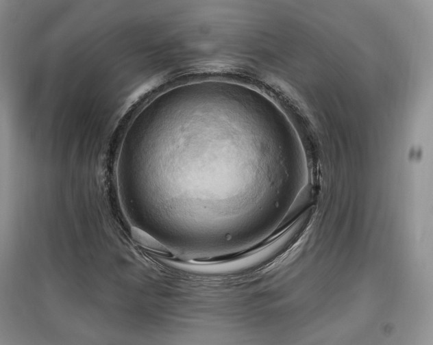 X0000097831210200803141137