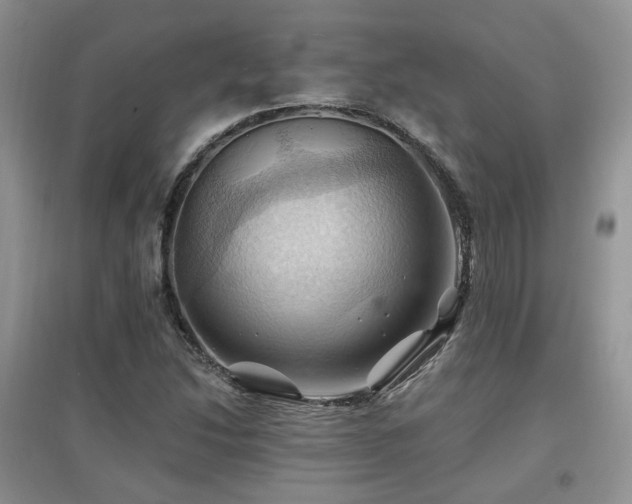 X0000097831214200803141137