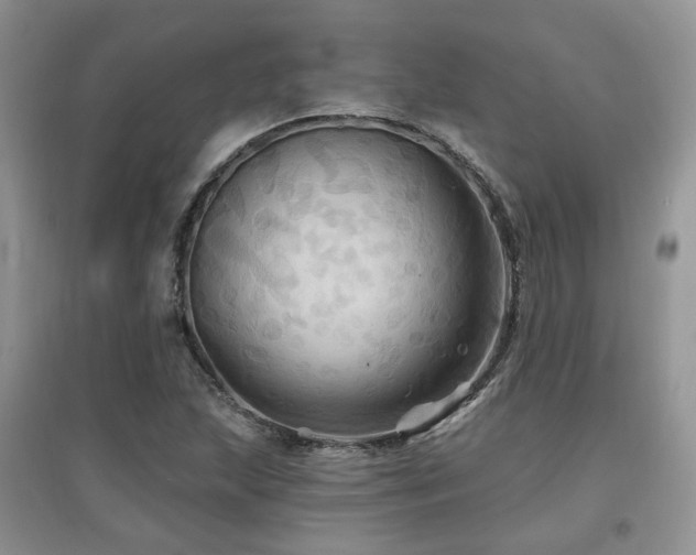 X0000097831215200803141137
