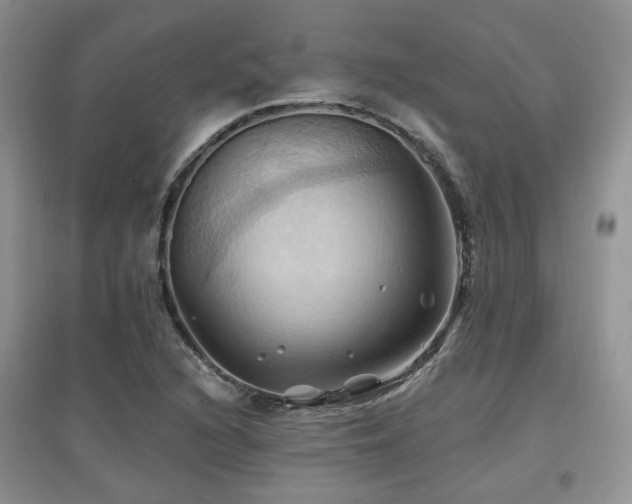 X0000097831216200803141137