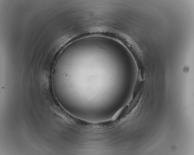 X0000097831217200803141137