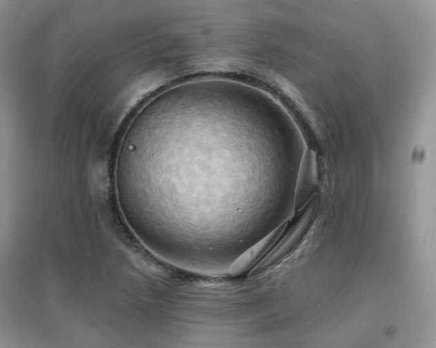 X0000097831218200803141138