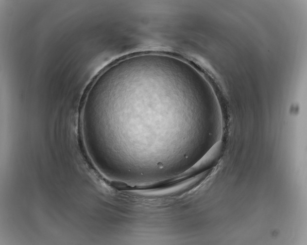 X0000097831220200803141138