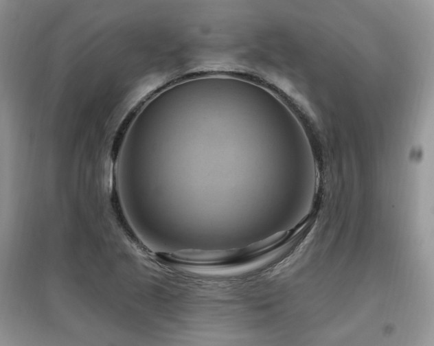X0000097831221200803141138