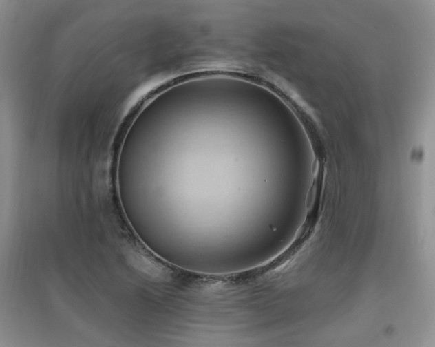 X0000097831222200803141138