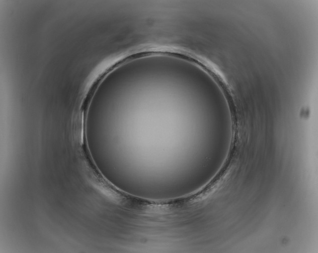 X0000097831223200803141138
