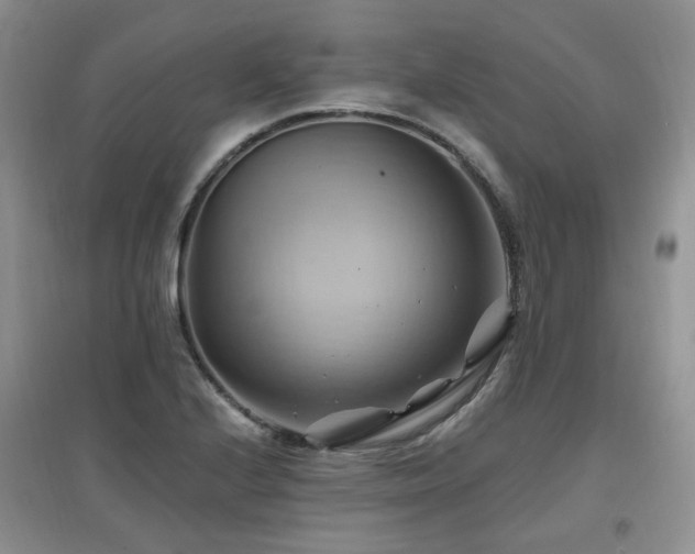 X0000097831224200803141138