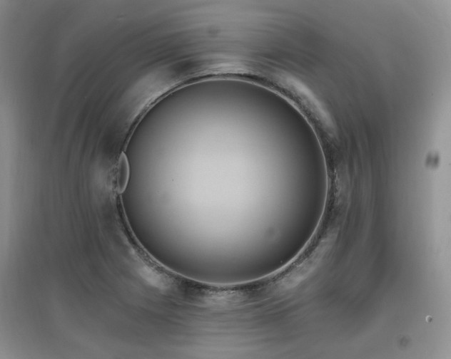 X0000097831225200803141138
