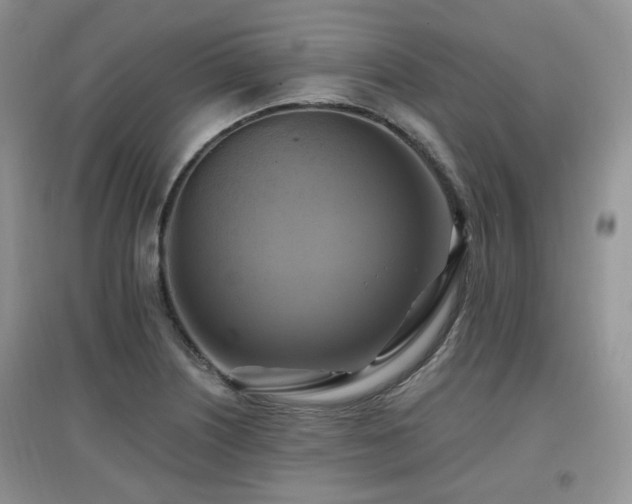 X0000097831226200803141138