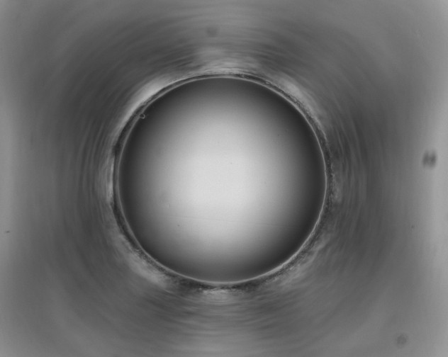 X0000097831227200803141138