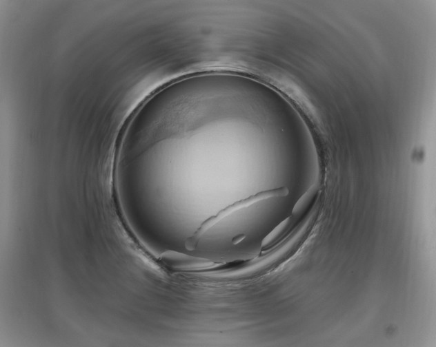X0000097831228200803141138