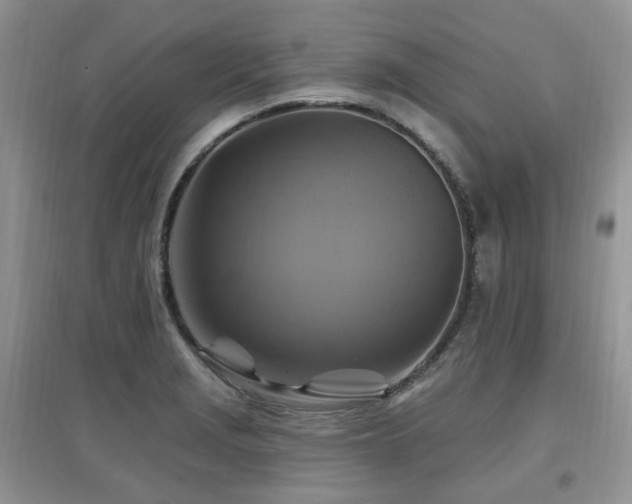 X0000097831229200803141138