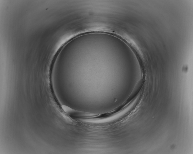 X0000097831230200803141138
