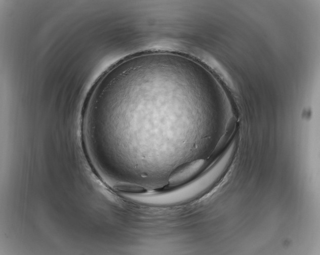 X0000097831232200803141138